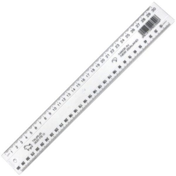 Bbocai Plastic Ruler 30cm Reff:180409