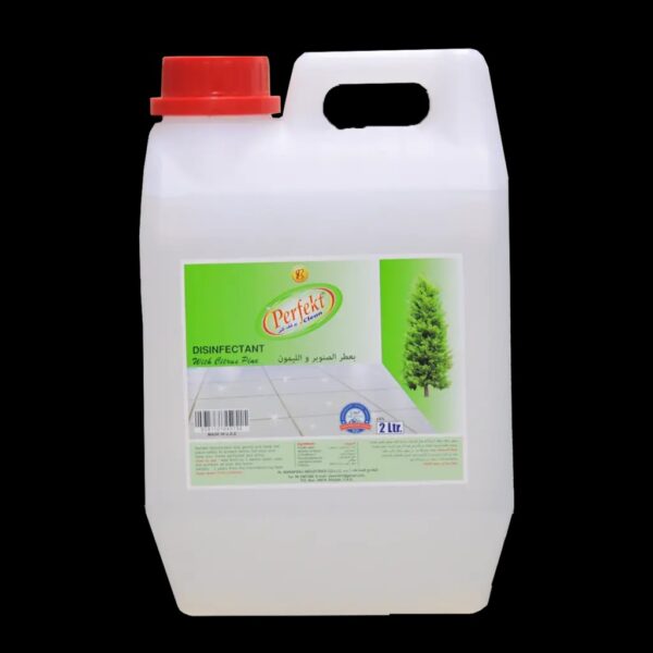 Perfect Disinfectant With Citrus 2l